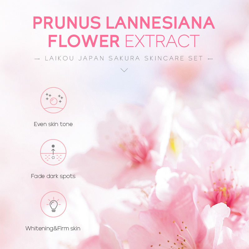 Sakura 5-Piece Skincare Kit